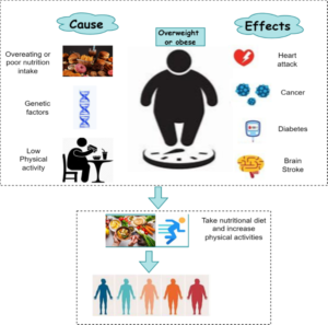 Obesity treatment and cause's illustration
